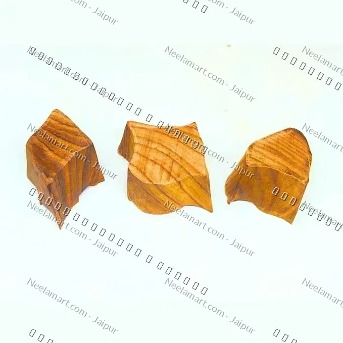 Hand-Carved Songbird Block printed impression